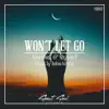 Alex Hook & Shyam P - Won't Let Go - Single
